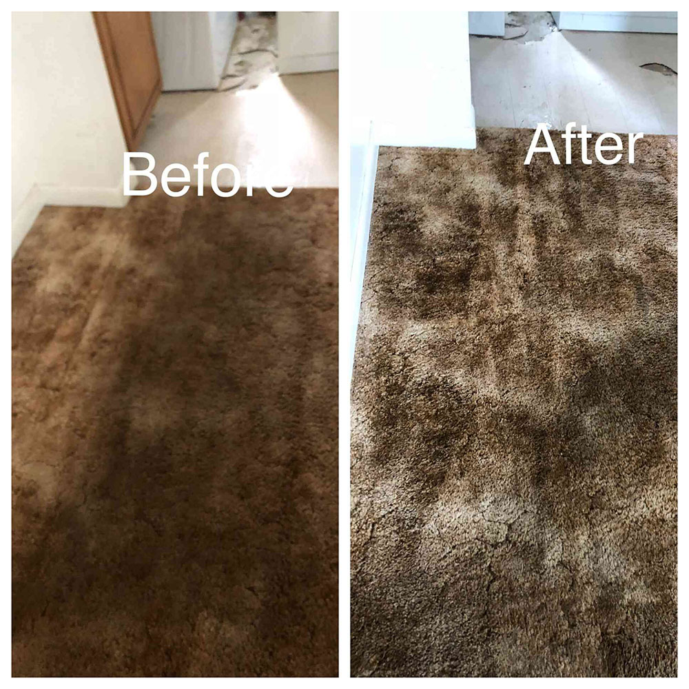 Before & After Cleaning a Carpet