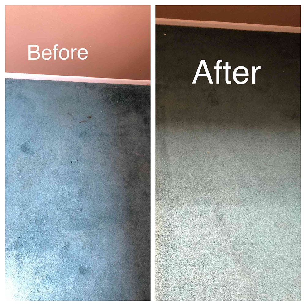 Before & After Restoring a Carpet
