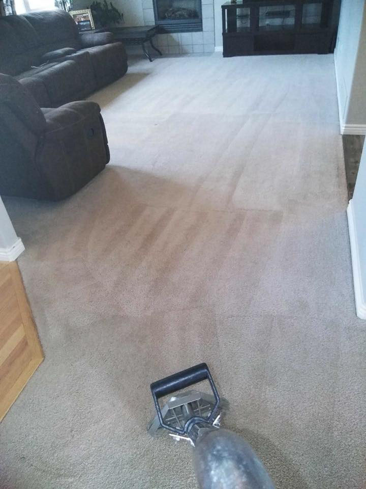 Clean Carpet
