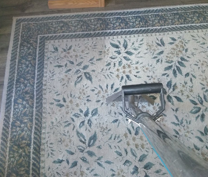 Cleaning a Rug